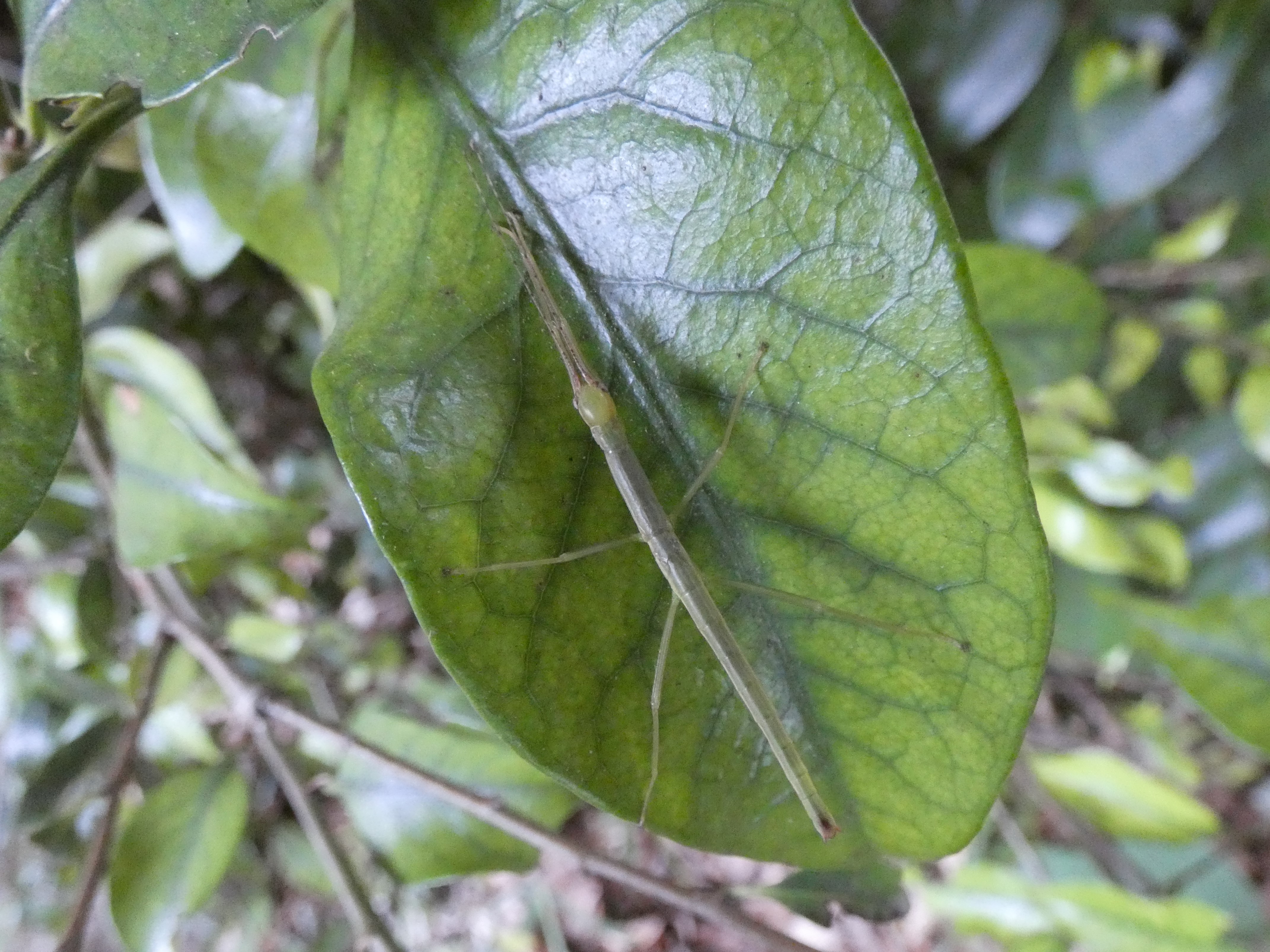 photo_1
